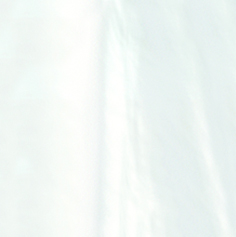 Click the image below to view a detail of the shell color